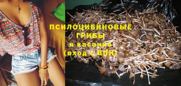 молекула духа Баксан