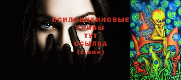 молекула духа Баксан