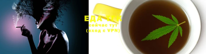стафф Россошь