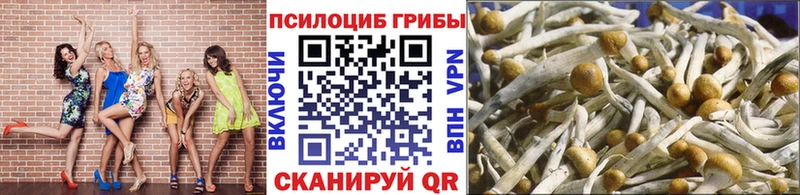Псилоцибиновые грибы Magic Shrooms  Новосокольники 