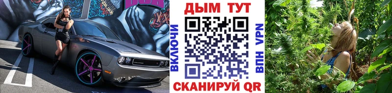 наркотики  Новосокольники  МАРИХУАНА Amnesia 